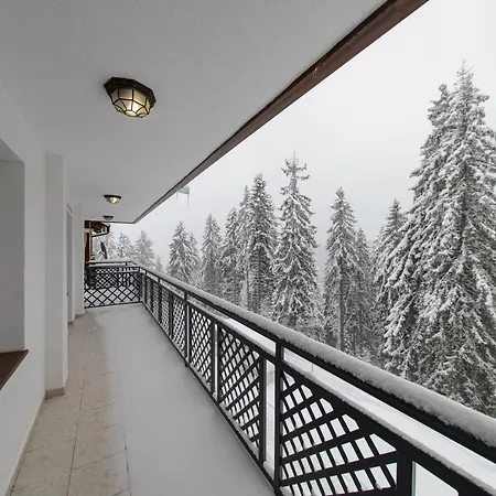 Colors Of Nature In Stylish Flat In By Flat Mаnager شقة بامبوروفو